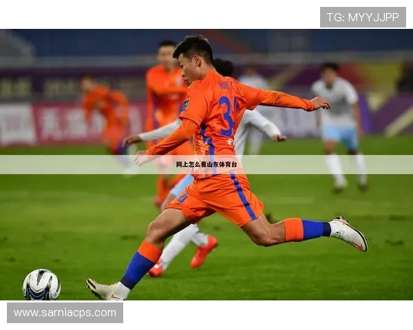 尊龙体育站如何利用移动端平台随时随地观看体育赛事直播体验升级