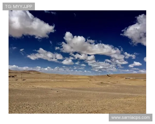 开云真人手机版加强客户服务体系，提供全天候专业支持保障用户权益