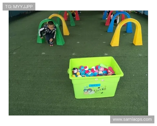 探索Y8体育丰富的体育游戏资源与最新更新内容